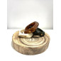 Pulseira Swallow Collection