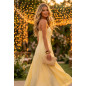 Vestido Swallow Collection